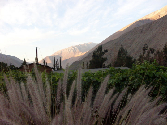 Valle del Elqui